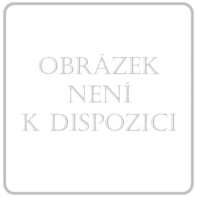 SimplyMed Dávkovač léků týdenní 21003 collection