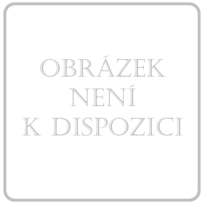 nutrego REGEN čokoláda por.sol.12x330ml